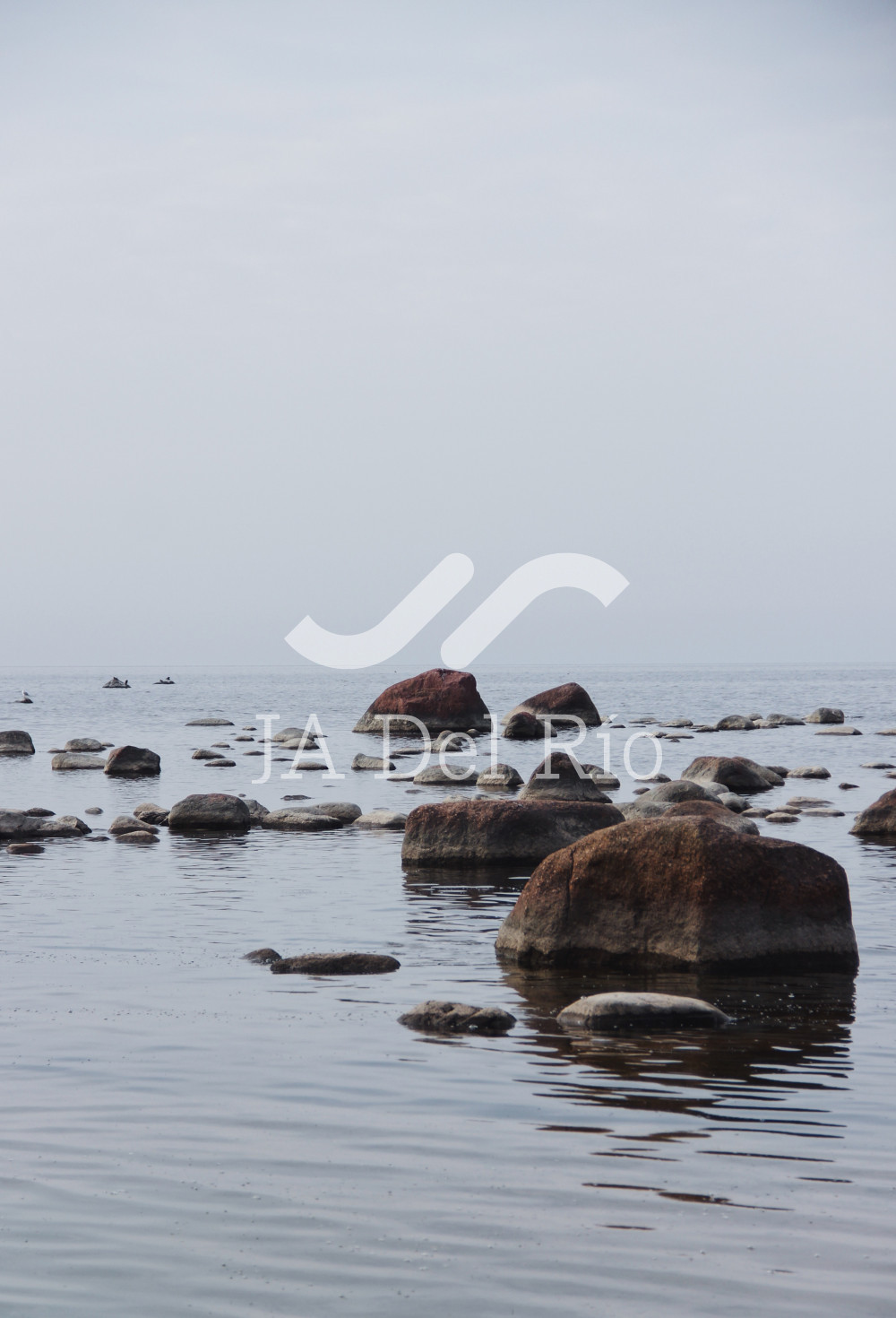 Obligaciones de Precios de Transferencia en 2022