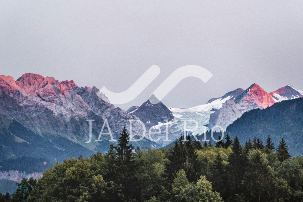 Risks and obligations in foreign trade matters disclosed by the tax authority