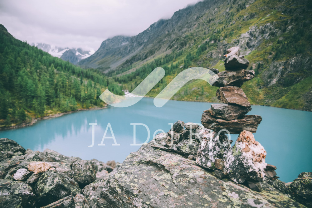 Reporte Personalizado de Cotización al IMSS