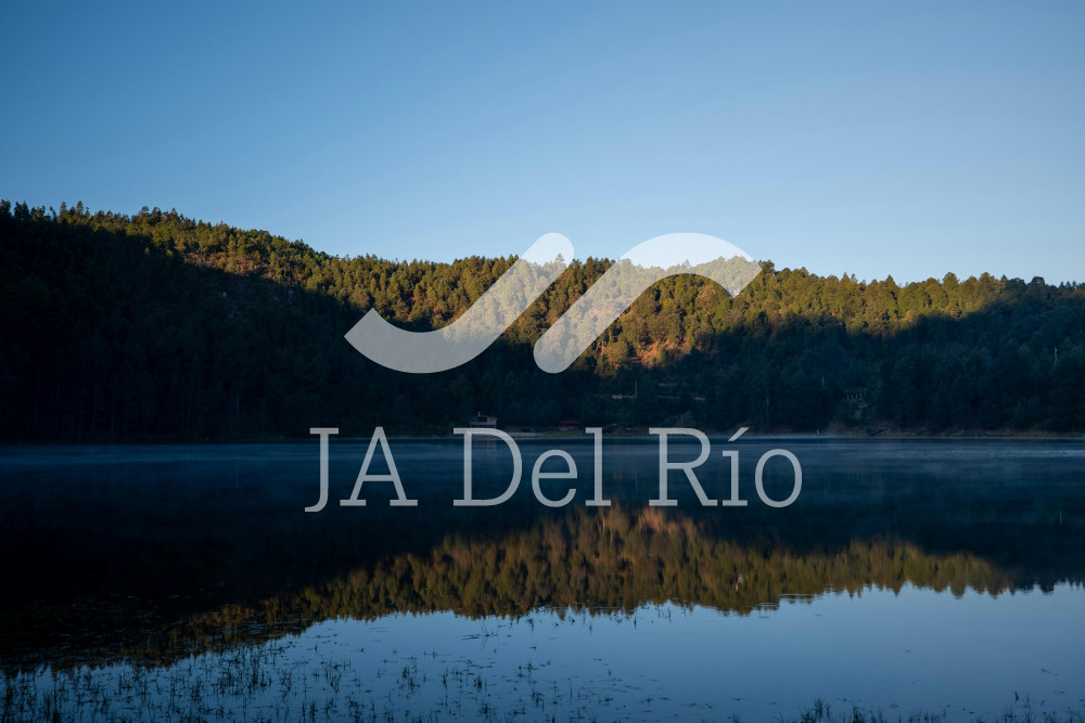 New Unit of Measure and Update (UMA), applicable as of February 1st, 2026