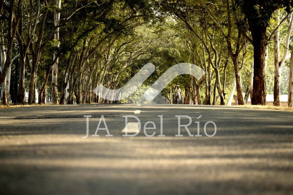 Flash News - Conoce los tipos de seguros del Instituto Nacional de Seguros y los contratos de trabajo en Costa Rica