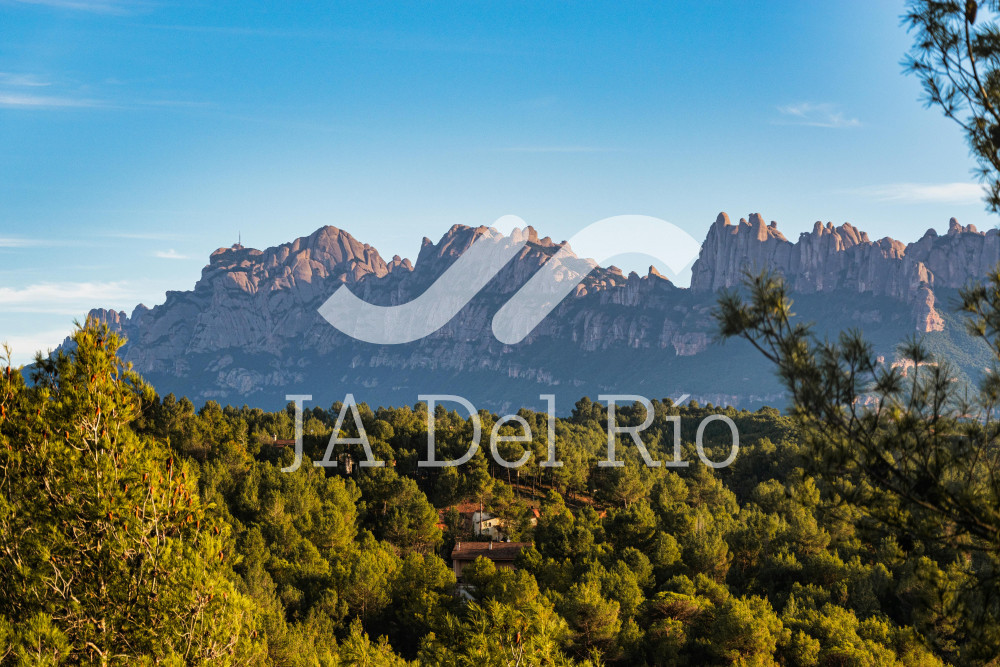 DECLARACIÓN ANUAL PARA PERSONAS FÍSICAS EJERCICIO 2025