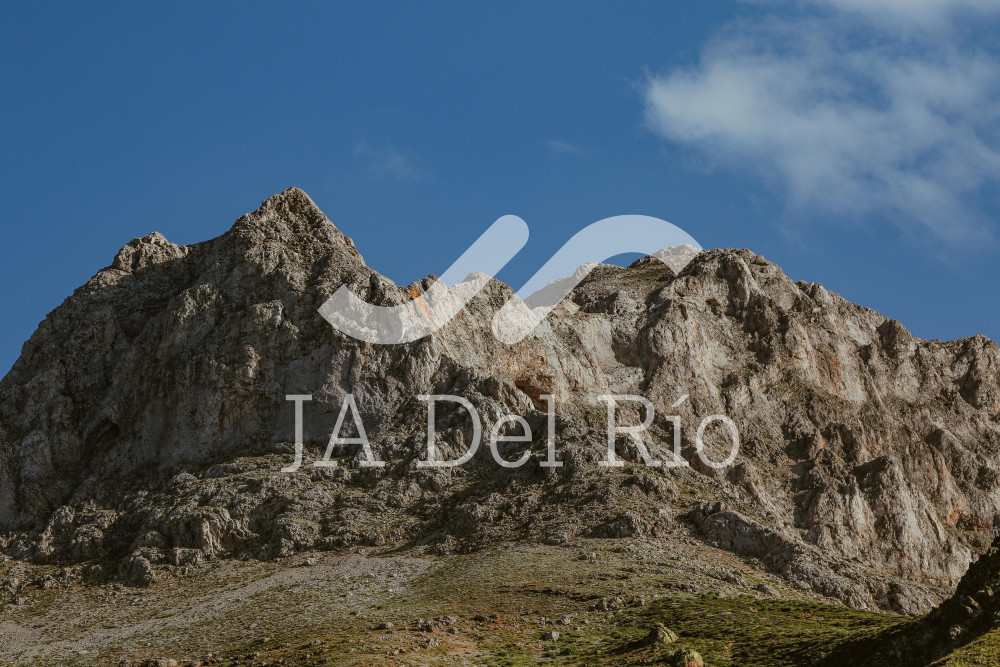 Modificaciones al Régimen Arancelario aplicable a productos e ingredientes farmacéuticos en Estados Unidos