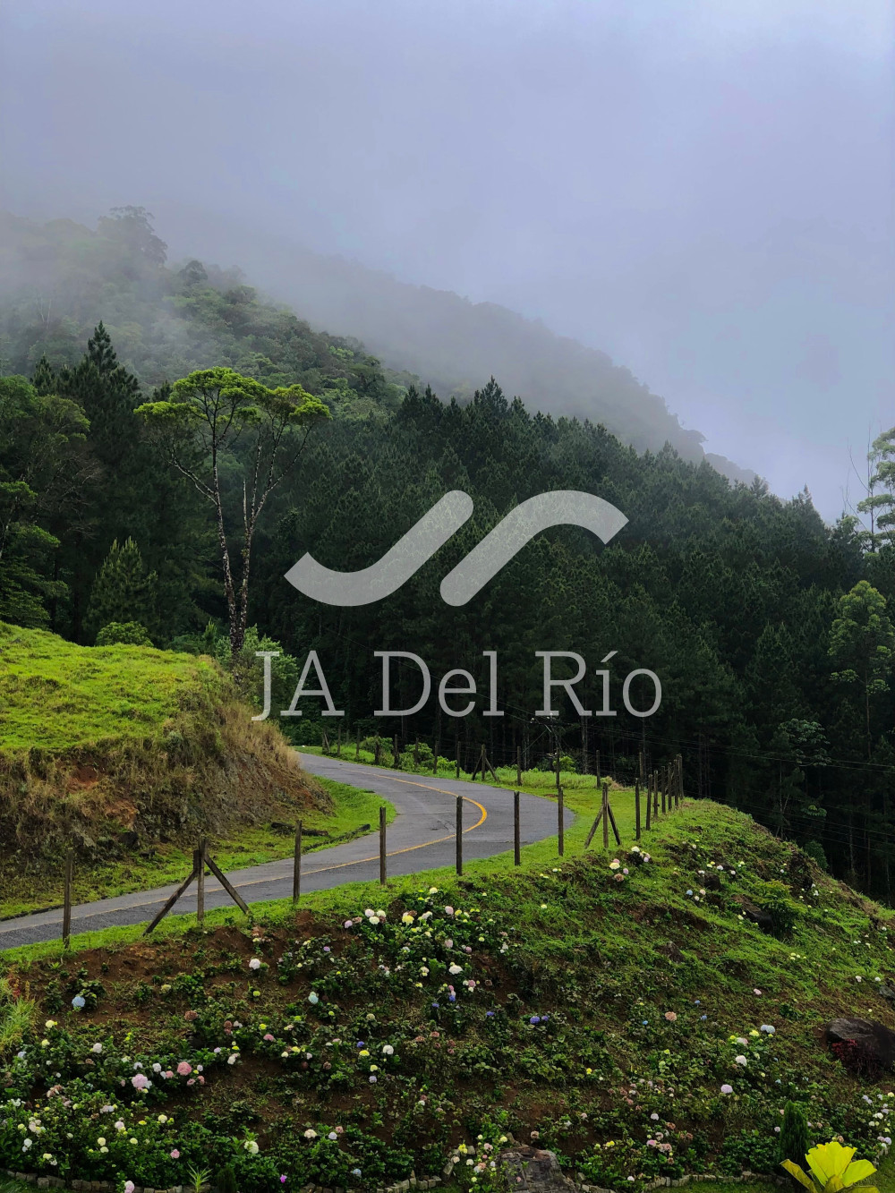 Errores más comunes en la presentación de la planilla ante la CCSS y cómo evitarlos
