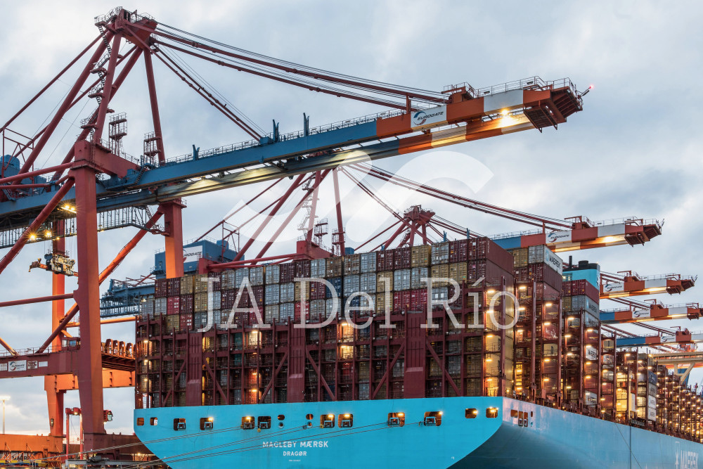 Avocado exports: Labor Certificate for Agro-exports