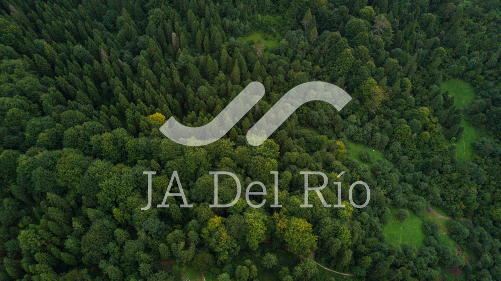 NUEVA VERSIÓN DEL SUA 3.6.1