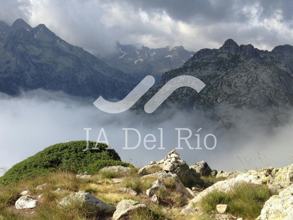 Reporte Anual de Operaciones de Comercio Exterior (RAOCE)