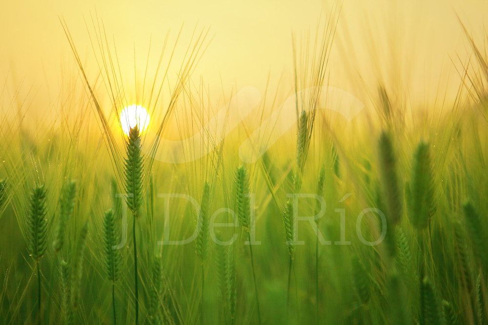 Flash news - Weekly news on Accounting and Compliance matters in Colombia