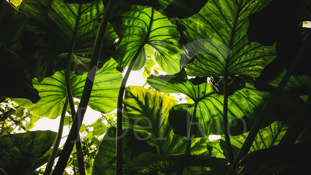 Flash news semanal sobre actualizaciones laborales en Colombia