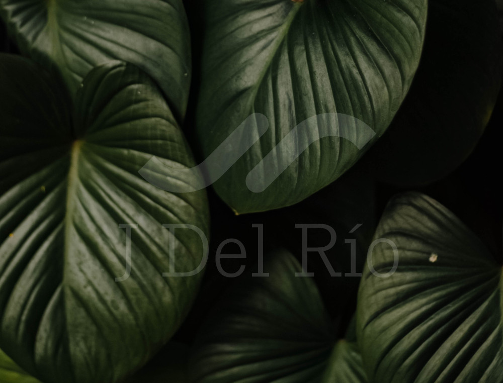 Flash news - Weekly update on taxes in Colombia