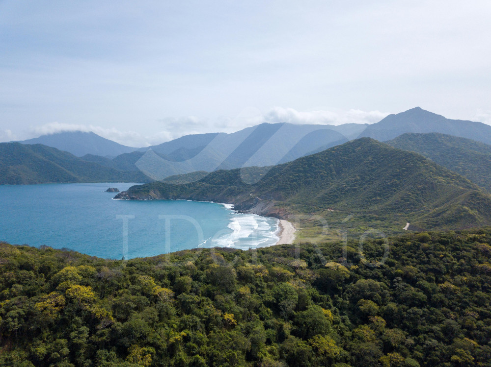 Actualización clave: Grandes Contribuyentes de impuestos distritales en Bogotá desde enero 2026 - Resolución DDI-029334 - Secretaría Distrital de Hacienda Bogotá (Colombia)