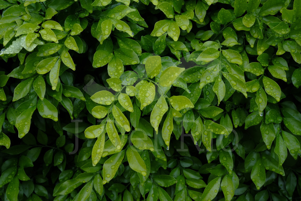 Labor flash of the week in Colombia