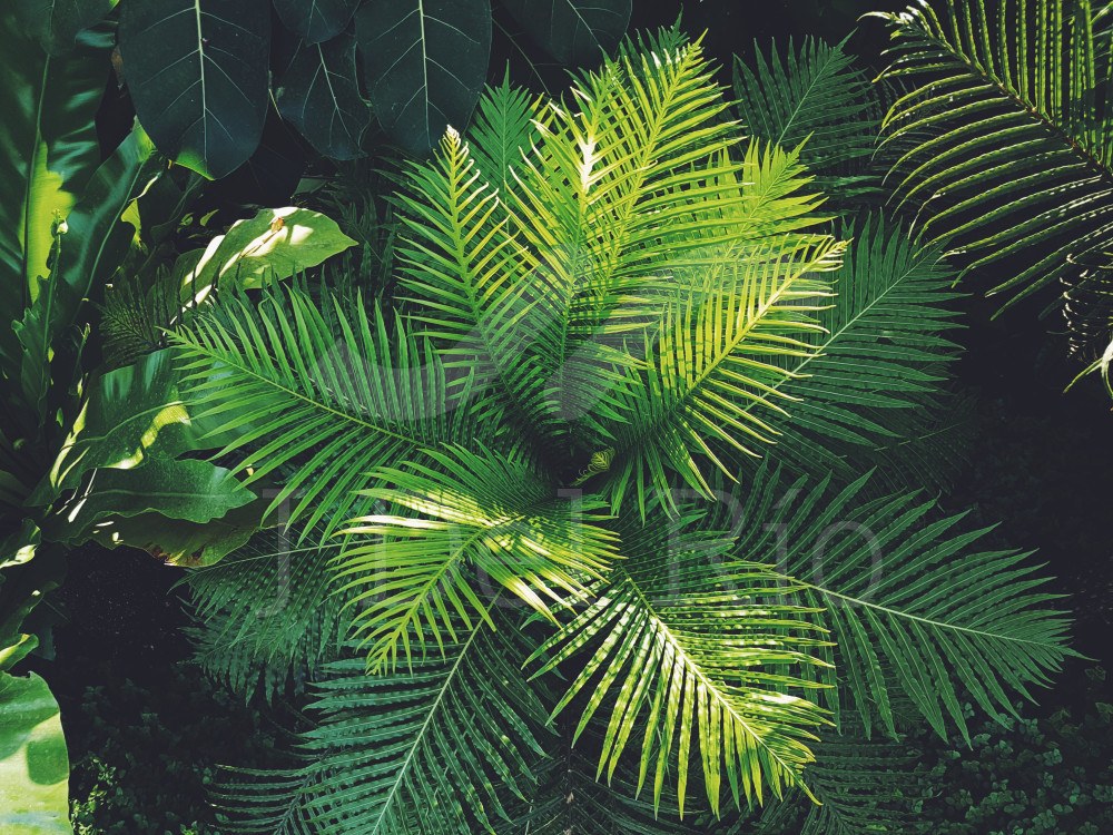 Flashnews - Weekly updates for Colombia in the area of finance