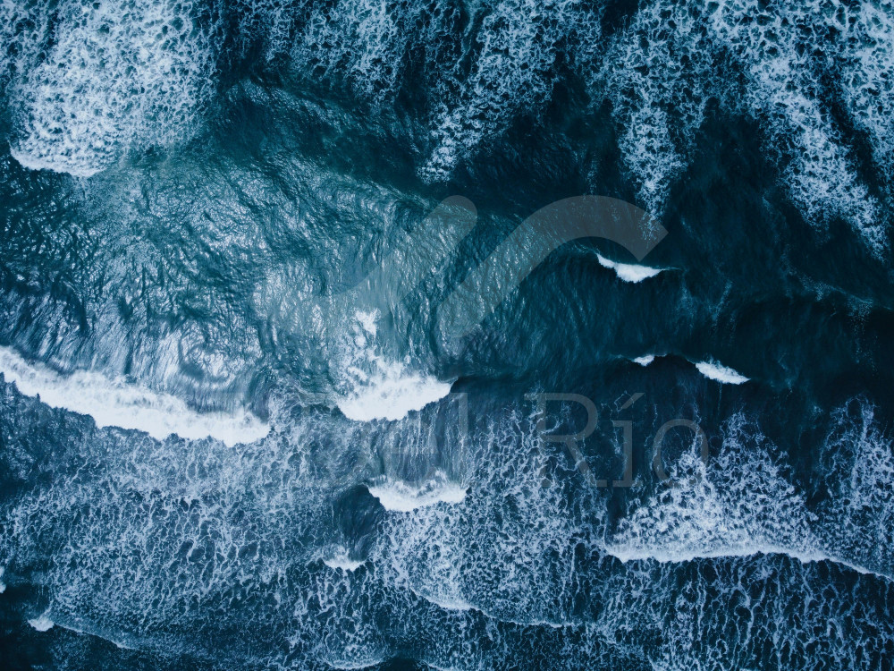 Is your company required to comply with the Transfer Pricing regime for the 2025 fiscal year?