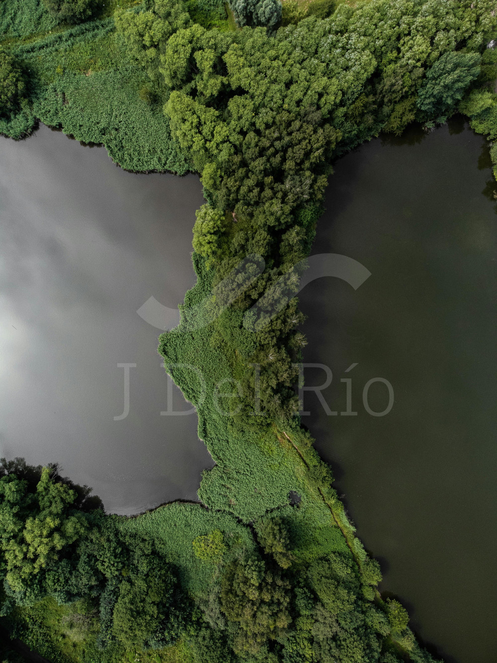 Jurisprudential Update on Labor and Social Security Matters