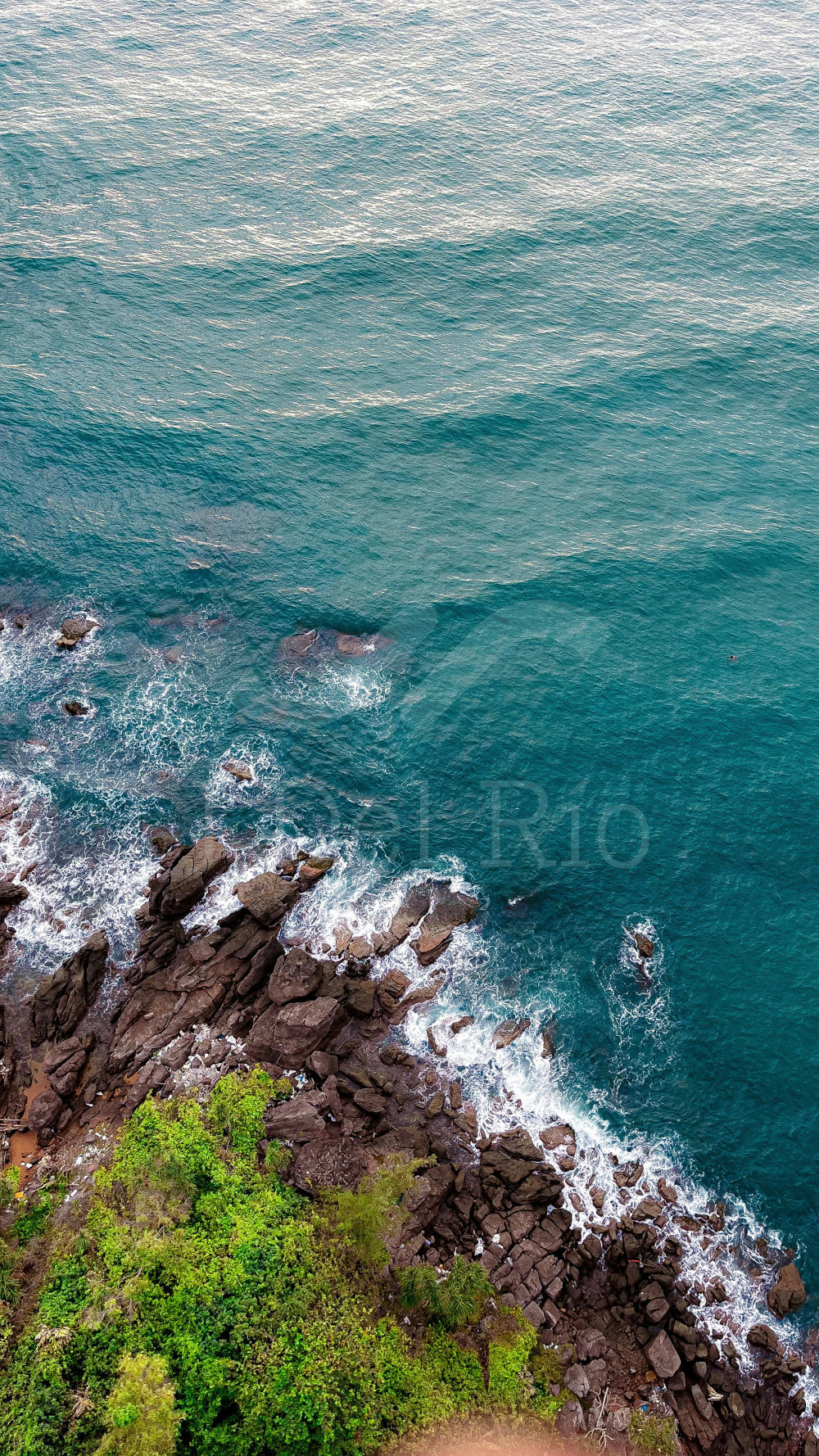 The Constitutional Court declared Legislative Decree 1390 of 2025 unconstitutional