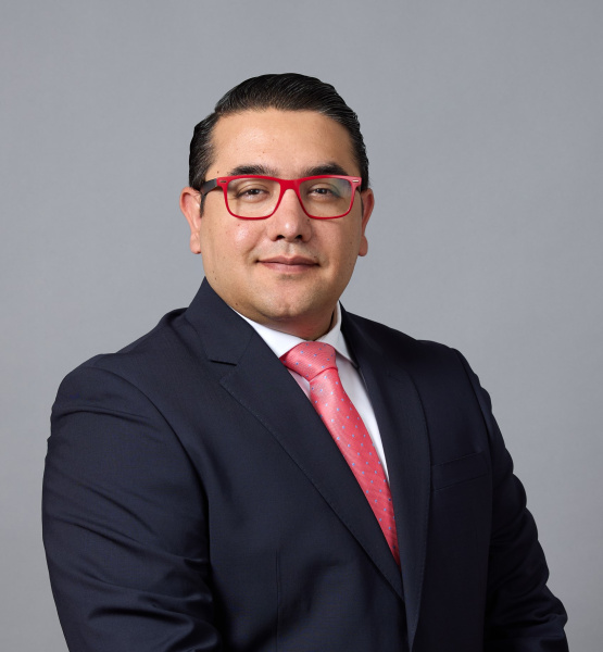 Luis Guzmán Martínez