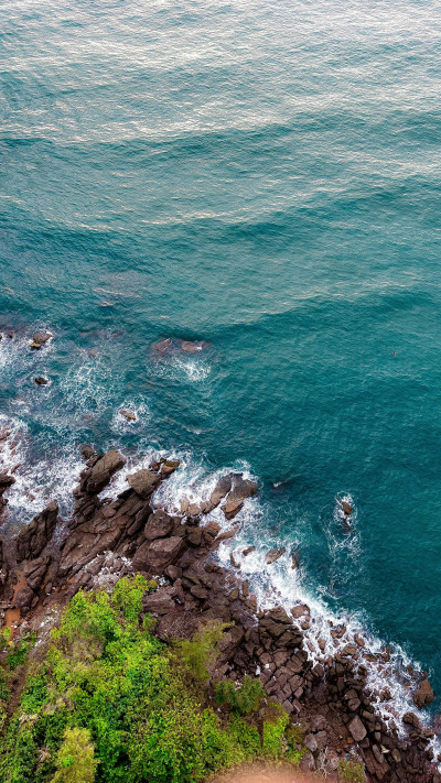 Corte Constitucional declaró inexequible el Decreto Legislativo 1390 de 2025