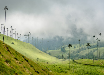 Council of State Ruling on thin capitalization Certification – Deduction of Interest (Colombia)