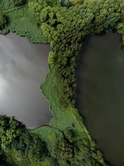 Actualización jurisprudencial en derechos laborales y seguridad social