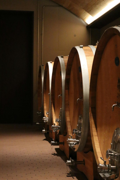 Consideraciones fiscales de la Fracción XXIII del Artículo 28 LISR en Pagos de Regalías y Licencias de Marca en el Sector de Bebidas Alcohólicas